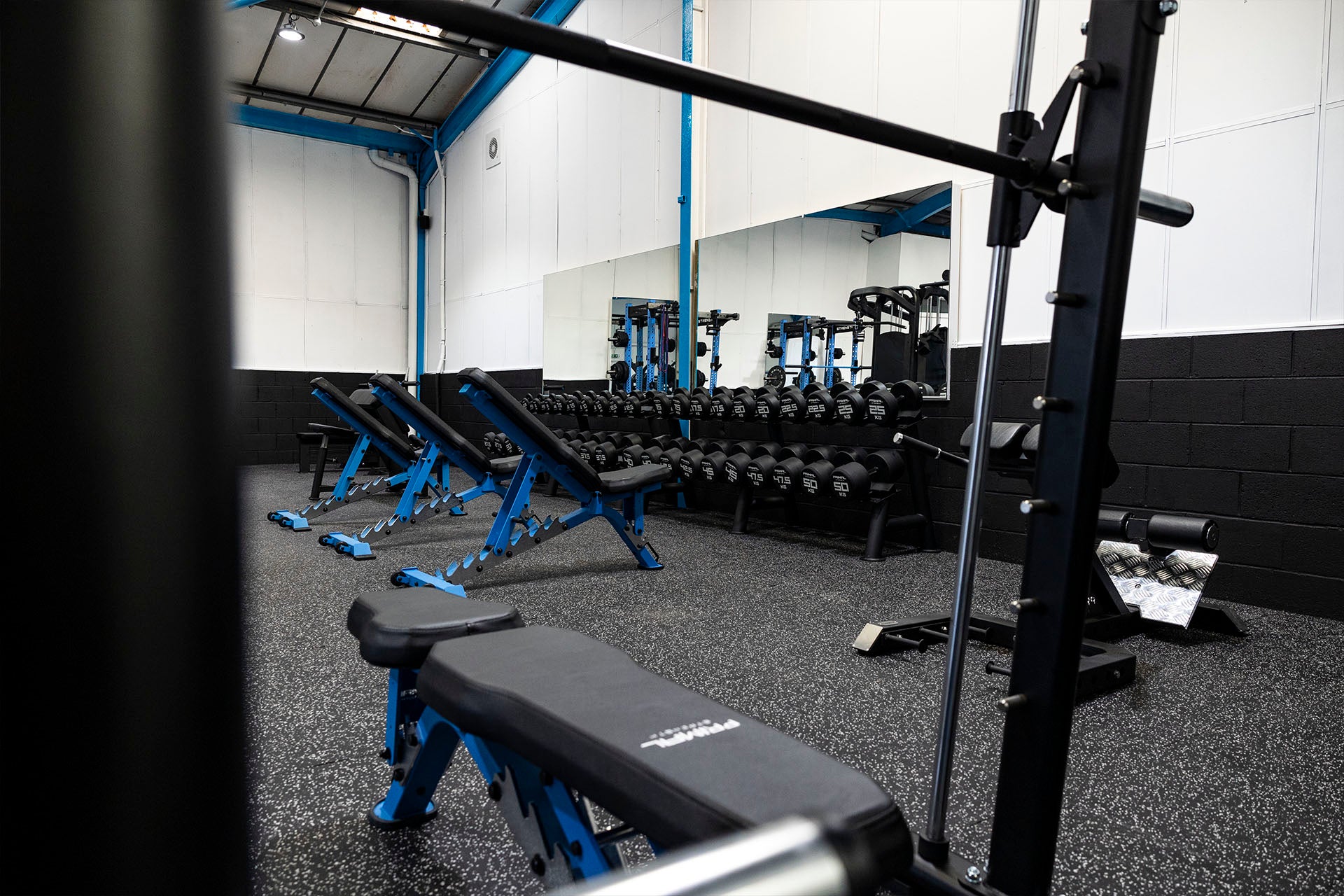 Gym equipment leasing discount companies