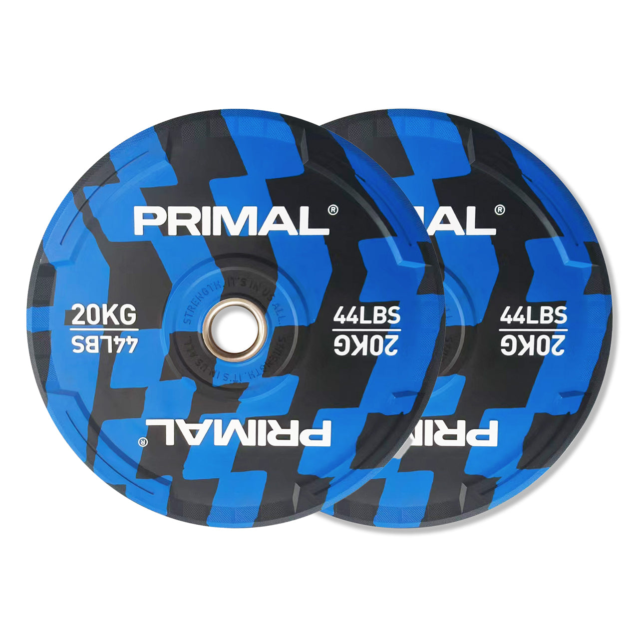 A pair of 20kg blue and black patterned bumper plates.