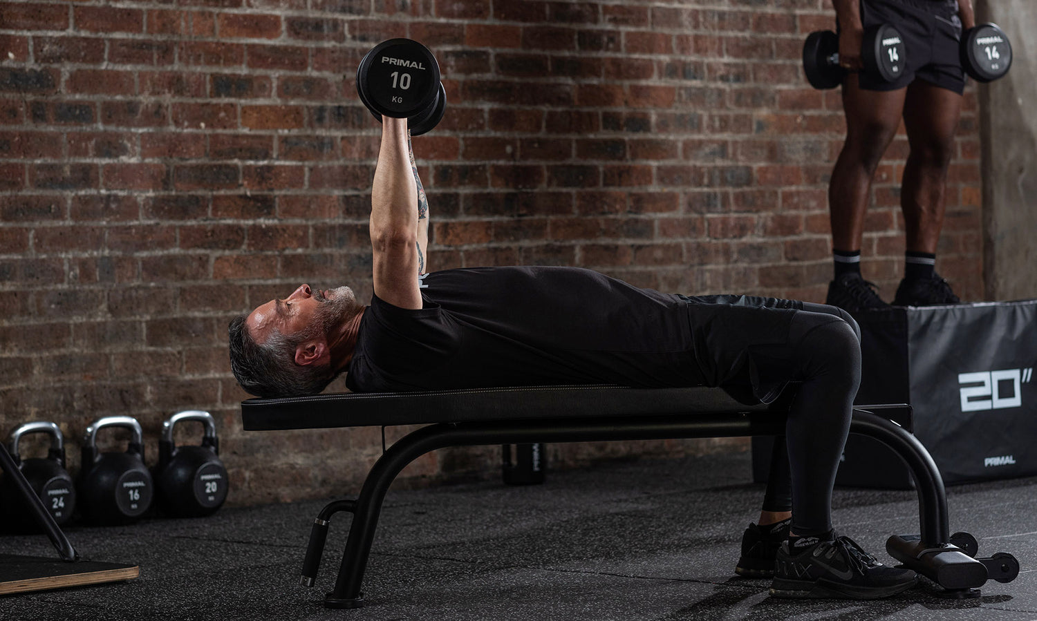 Gym Benches  Weight Benches – Primal Strength
