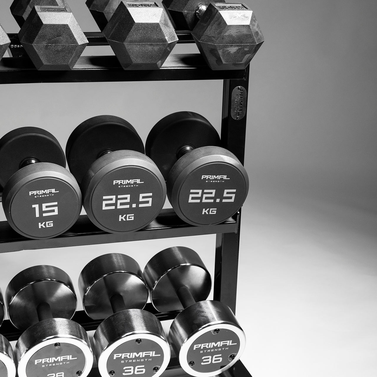 Primal strength dumbbell rack new arrivals