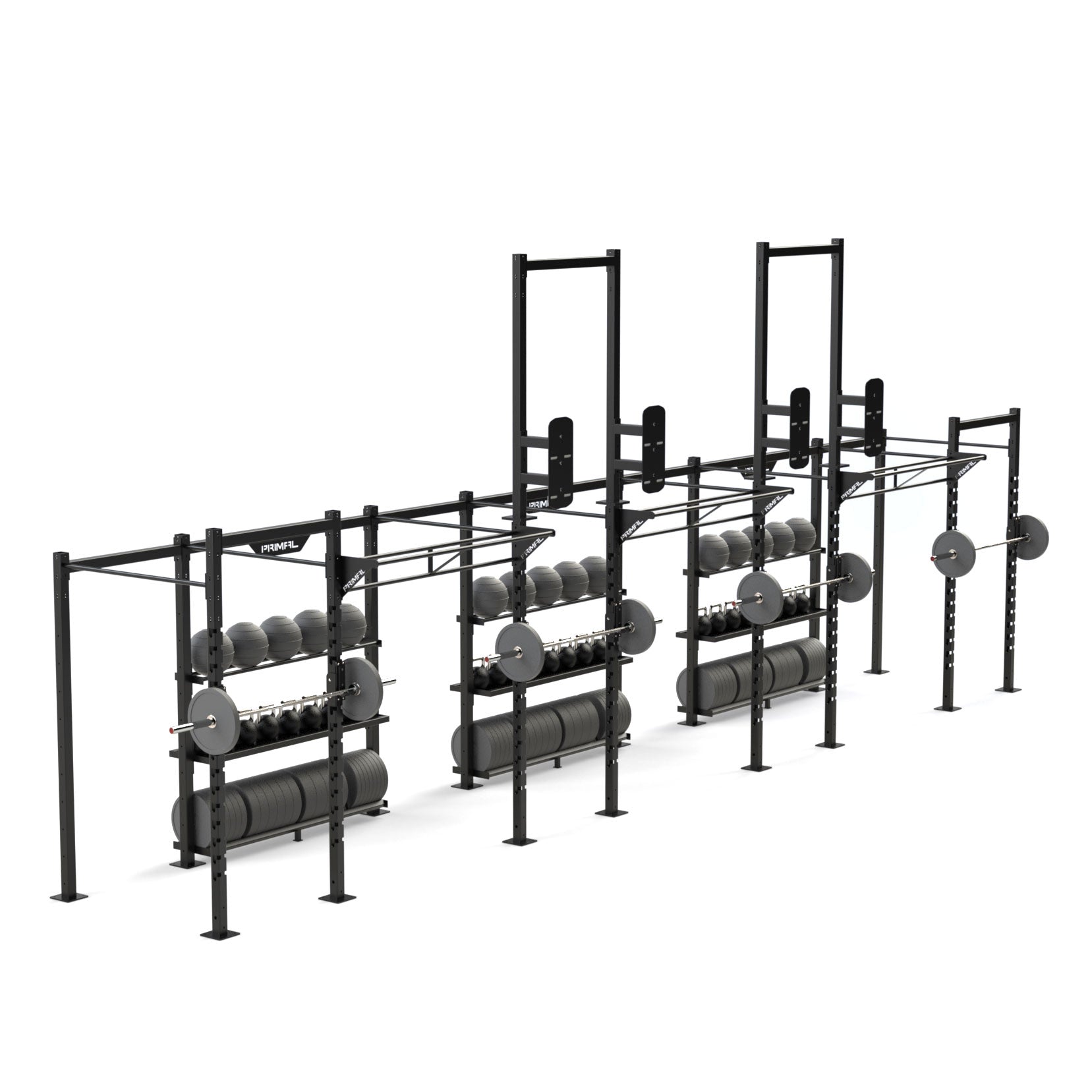 Functional fitness online rig