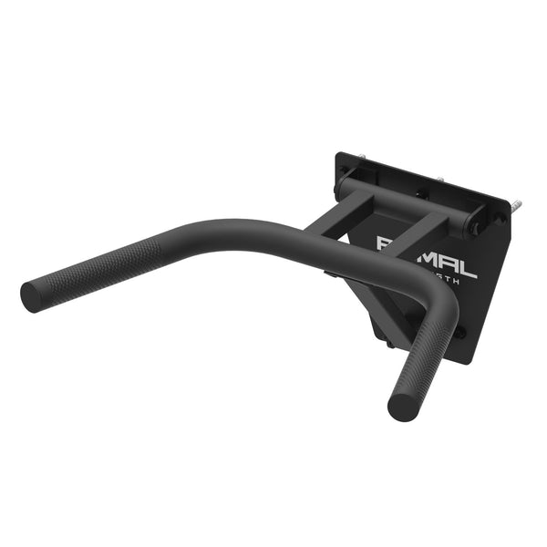 Dip station best sale wall mount