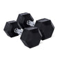 Primal Performance Series PVC Hex Dumbbells (Pairs)